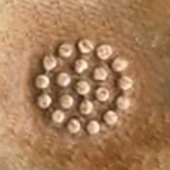 Stamping Tool - PJ017