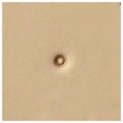 Stamping Tool,S722,Seeder