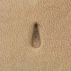 Stamping Tool - F902