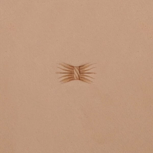 SN Stamping Tool - 581-3 Tufted Basketweave 3 SN Stamping Tool - 581-3 Tufted Basketweave