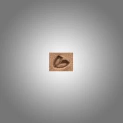 Stamping Tool - D442(B)